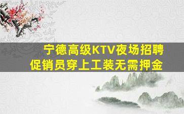宁德高级KTV夜场招聘促销员穿上工装无需押金
